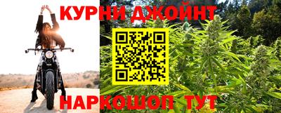 сатива Дубна