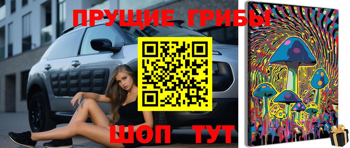 Псилоцибиновые грибы мицелий Минусинск