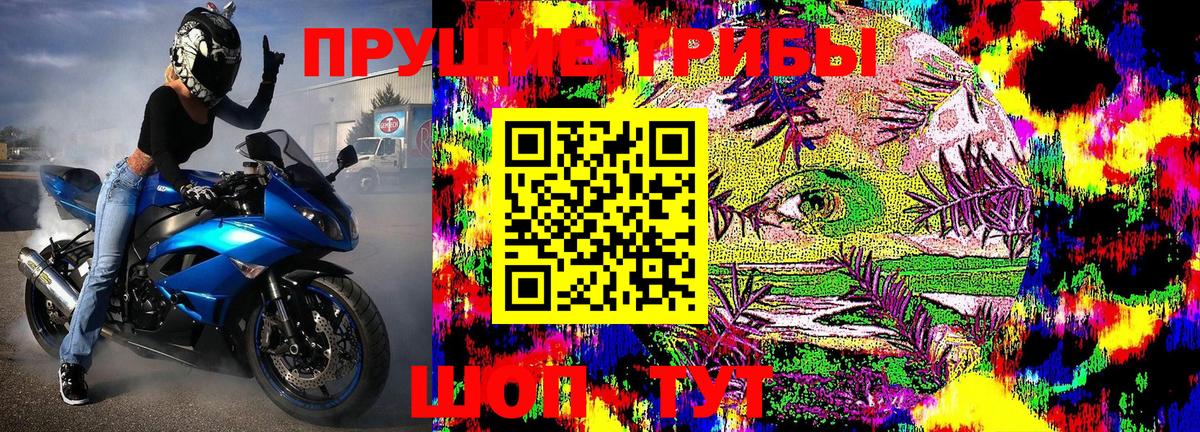Галлюциногенные грибы Magic Shrooms  Вход с VPN  Минусинск  Галлюциногенные грибы Cubensis 